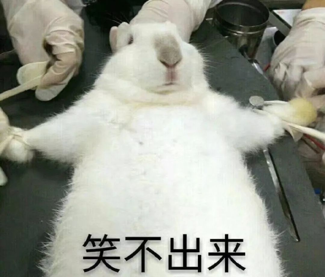 远离学医的女生,女朋友是学医的不要招惹她