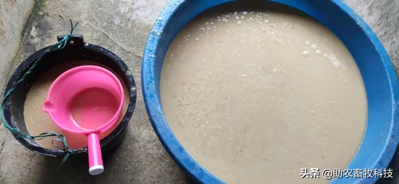 豆腐渣发酵饲养肉狗效果,发酵豆渣喂狗配方