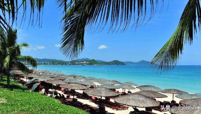 505分能报厦门大学吗,厦大分数线2019艺术