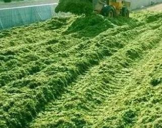 干草储存方法,干草储存湿度要求