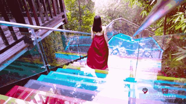 三亚5天4晚旅游攻略便宜,三亚旅游攻略1人