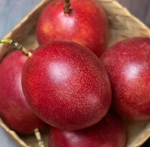 野生山竹为什么叫水果皇后,水果皇后山竹长什么样