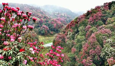 朱熹的教育思想对当今教育的影响,朱熹被世人诟病