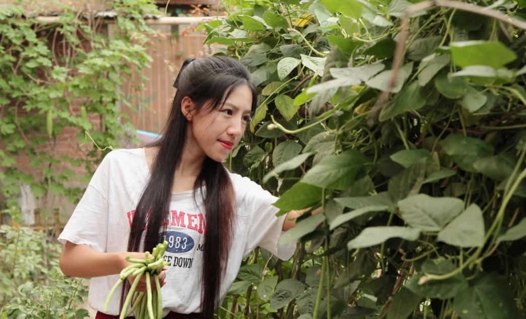 浙江29岁农村女孩白手起家摆地摊 (女大学生回乡摆摊创业)