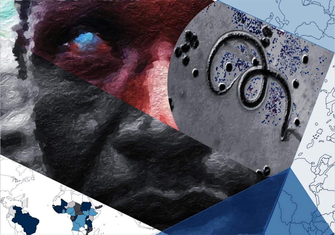 生命的故事绘本电子版,生命的故事图片