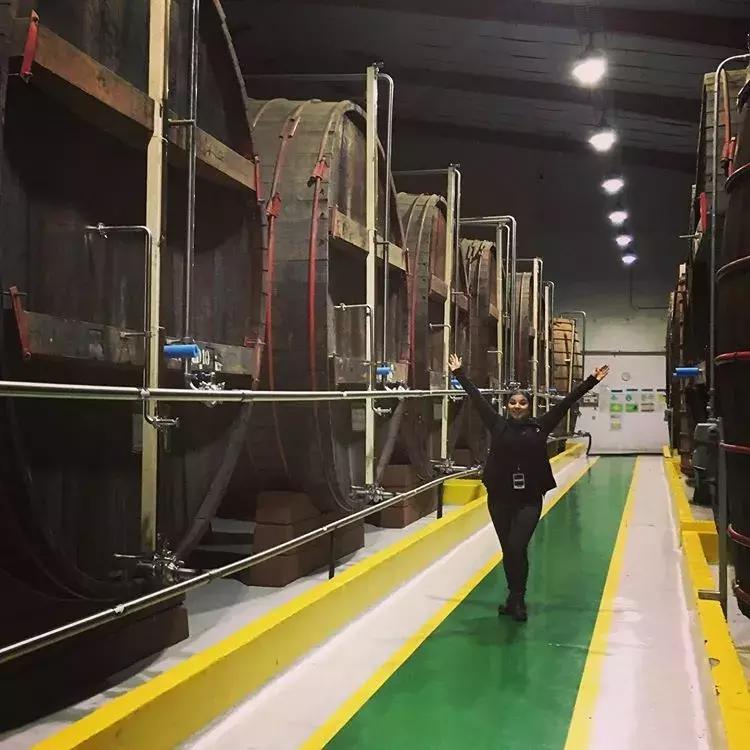 这种细思极恐的“橡木桶老汤”,造就了一众世界名酒