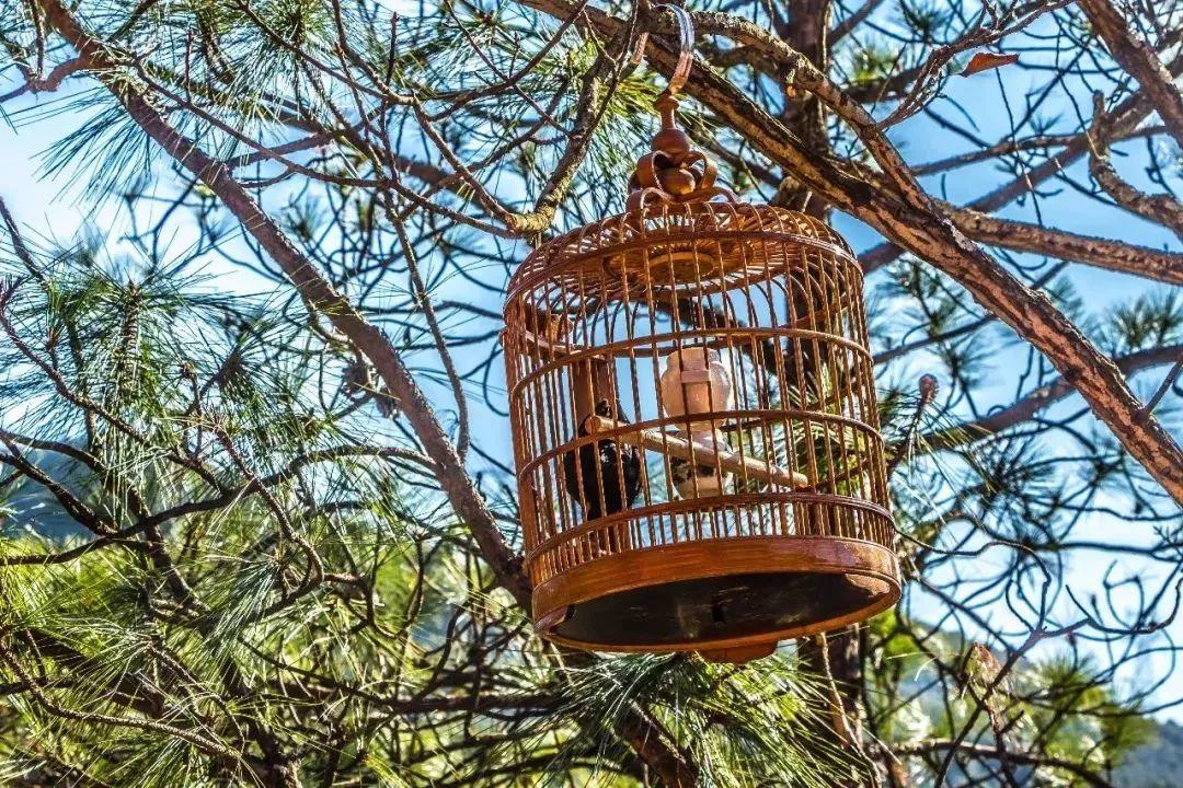 昆明周边好玩的地方青龙峡推荐,昆明青龙峡景区