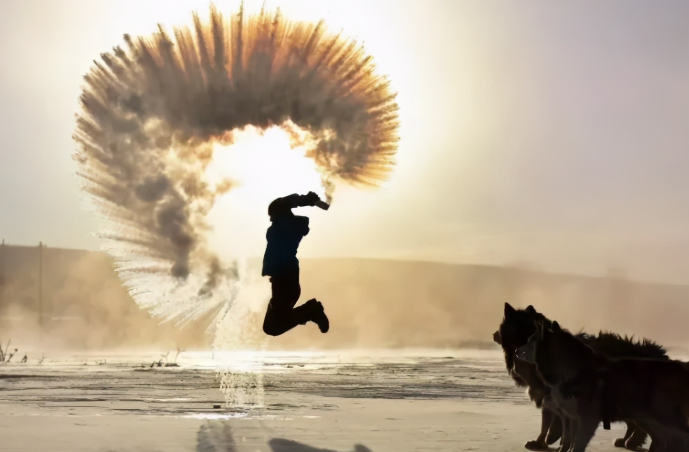 跟着总书记了解内蒙古｜林区工人停伐以后干什么、收入怎么样？