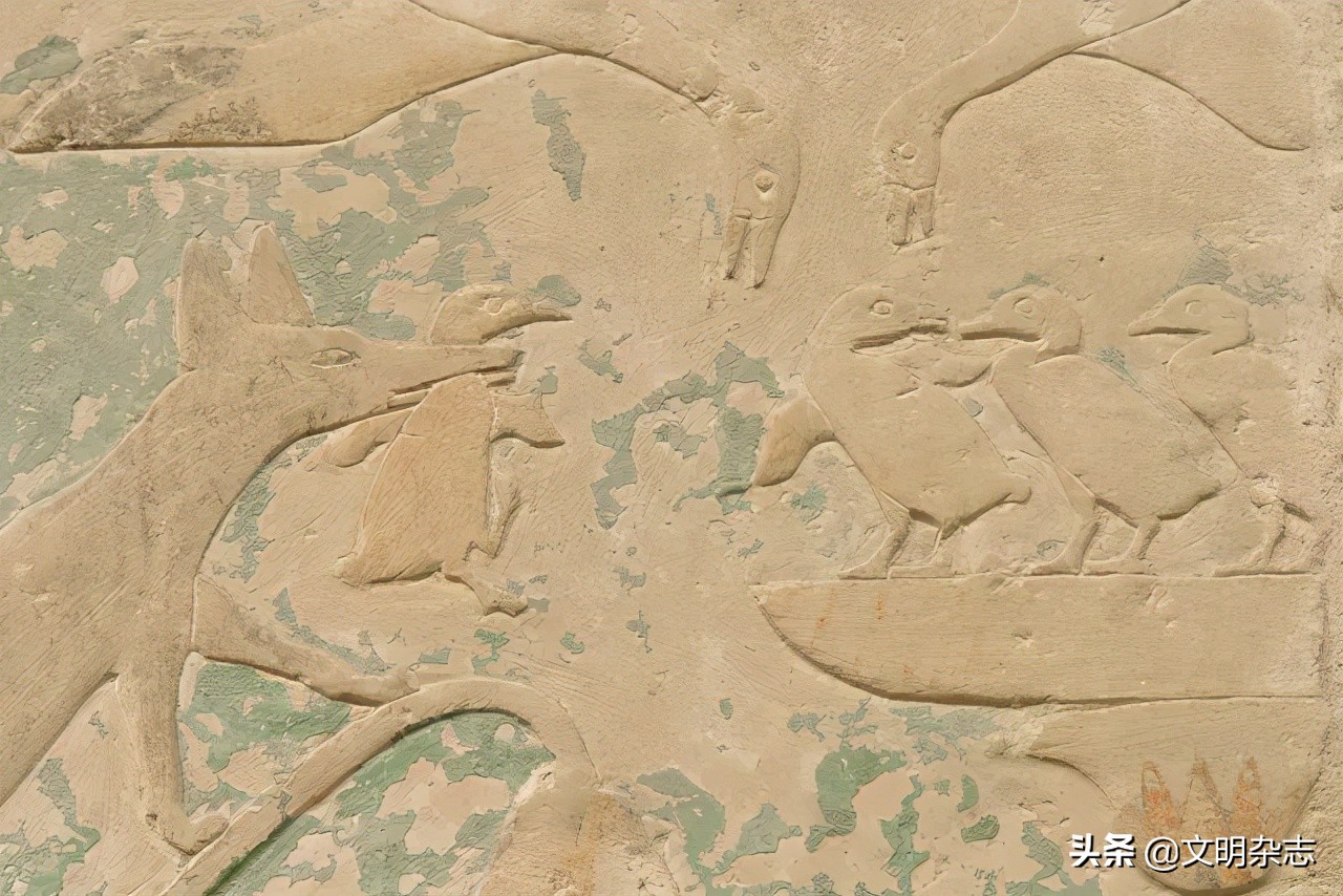 在古埃及神话中的猫传说,古埃及和猫的历史故事