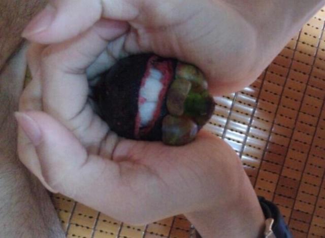 长见识了山竹原来这样吃,山竹到底该吃哪个部分