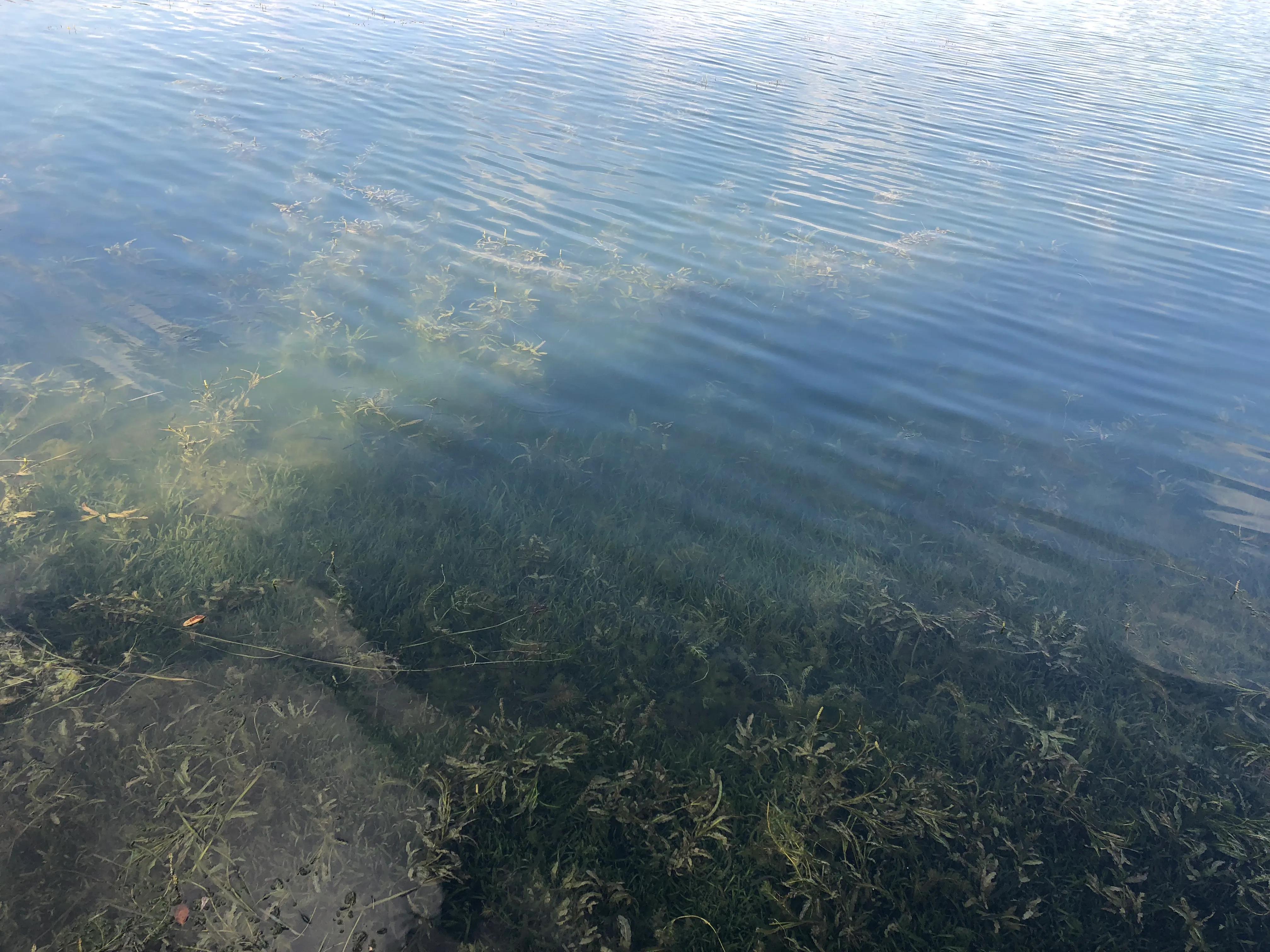 奉贤金海湖钓鱼,奉贤金海湖