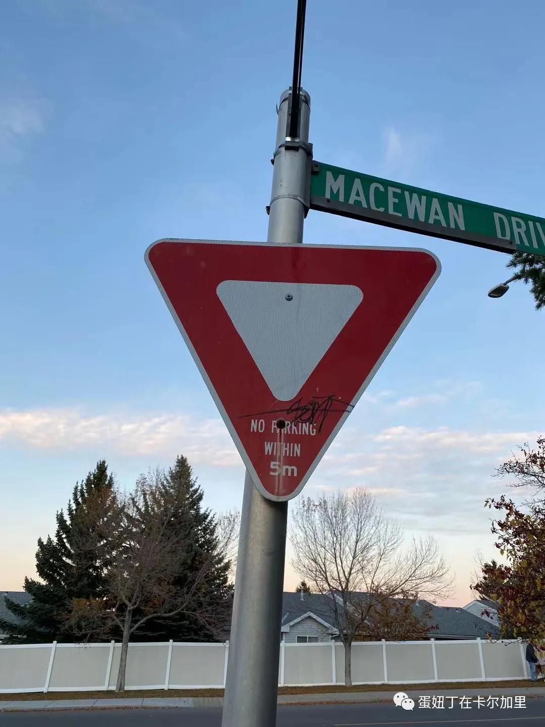 老司机谈开车,老司机聊车大全