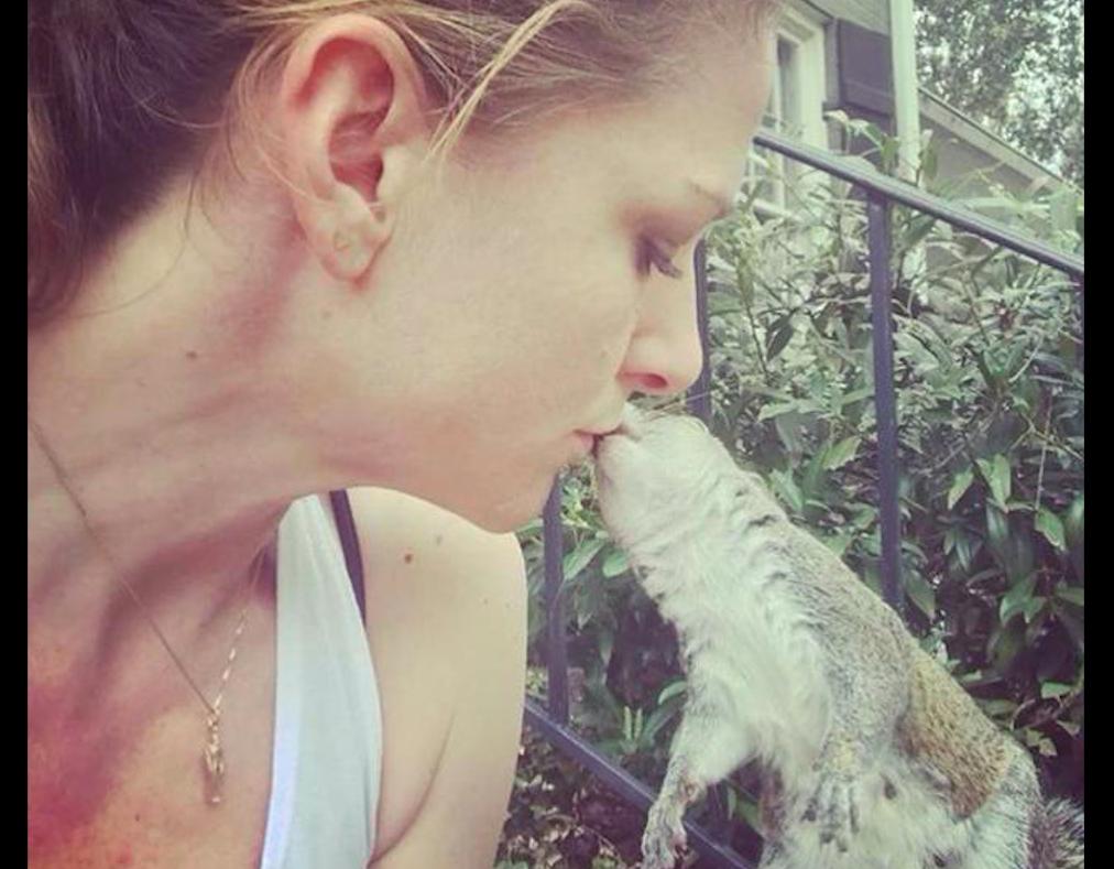 小松鼠回到家,松鼠放生后又回来了