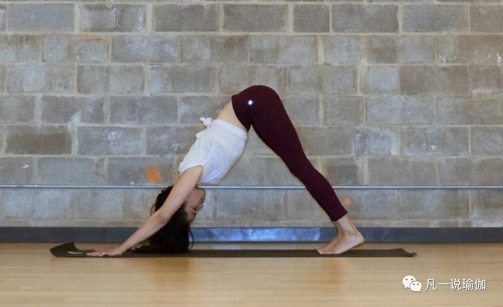 下犬脚后跟不能落地，前屈手够不到脚？7个动作，你选哪一个都行