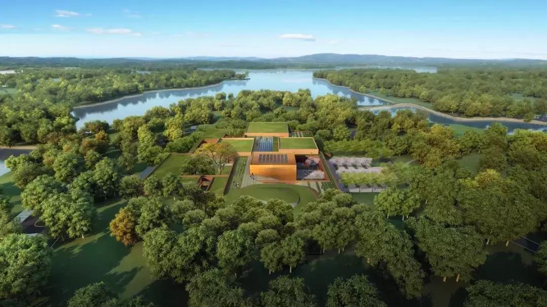 今年夏天在武汉必做的十件事,武汉新春过年坐地铁打卡攻略