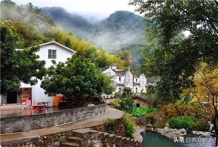 本港台播放过的动画,本港台曾经推出的纪录片