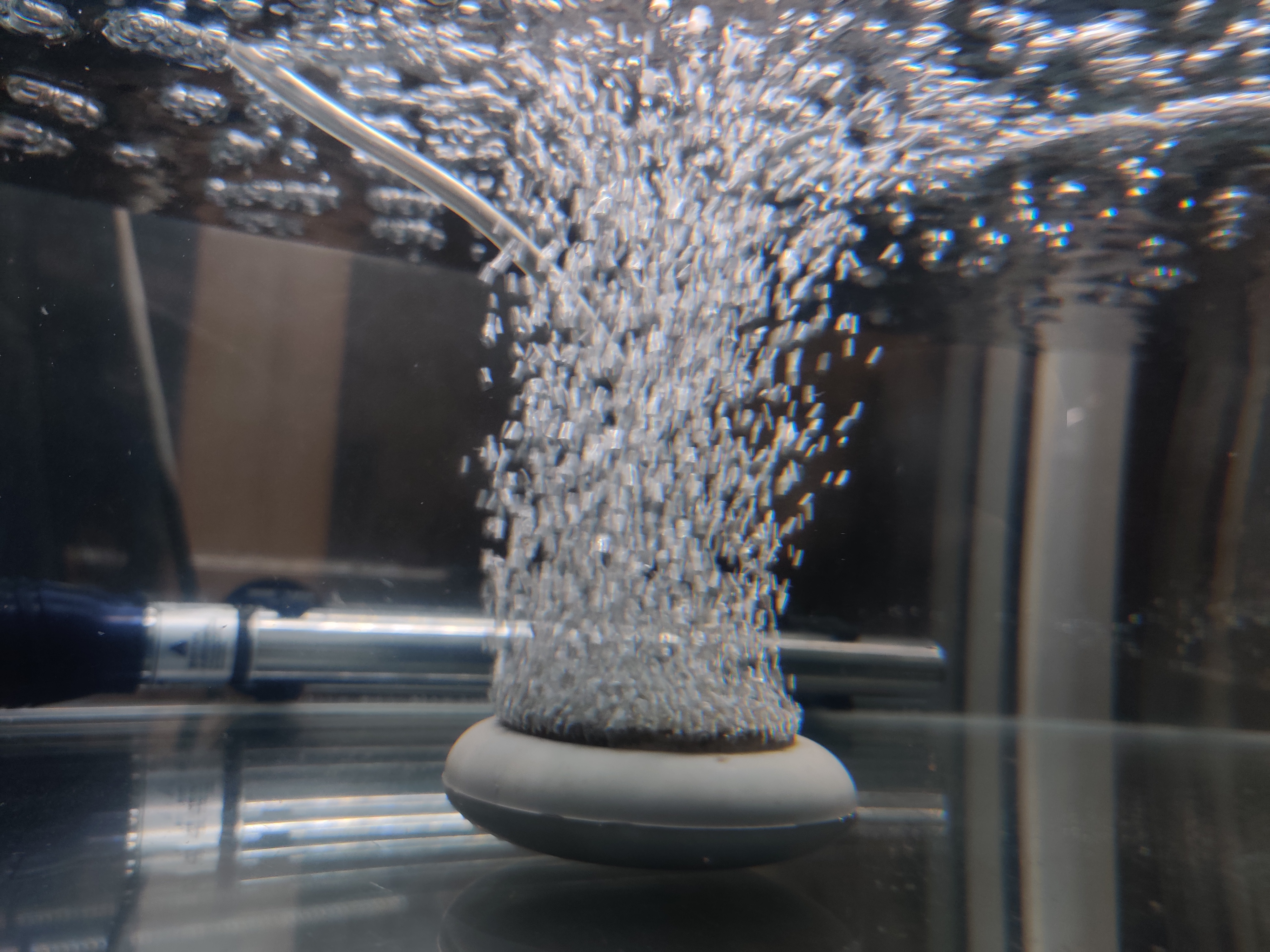 想养鱼但是不想买鱼缸,想养鱼但是不想换水