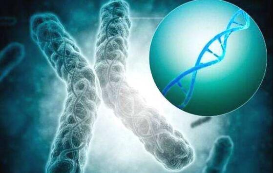 人类要实现永生的第一步该怎么做,如果人类实现了永生是福还是祸