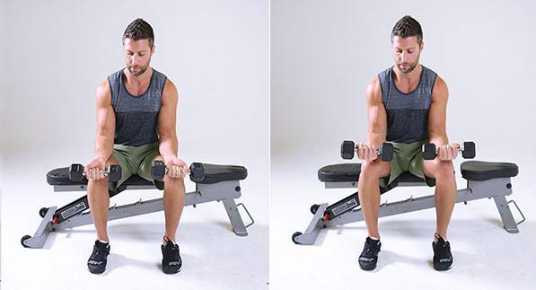 为什么说小臂的训练这么重要？我们应该如何提高小臂力量？