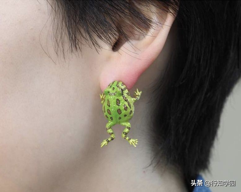 青蛙耳夹,卡通青蛙公仔耳夹