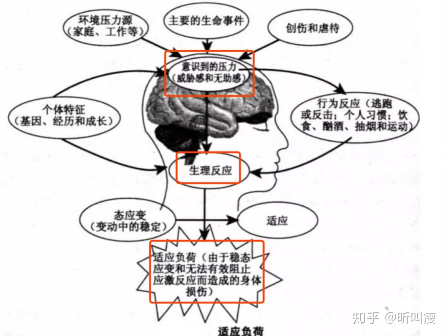 体脂率30%减肥方法,减肥体脂率下降的方法