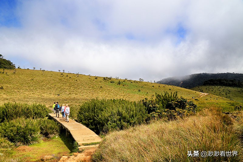 去斯里兰卡旅游攻略,1月去斯里兰卡旅游的最佳攻略
