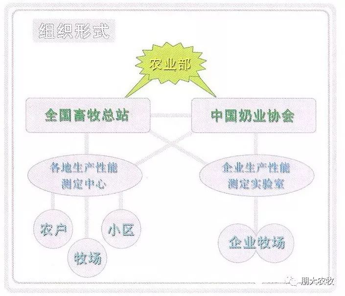 国外奶牛进口国内,国家为什么还要从国外进口奶牛