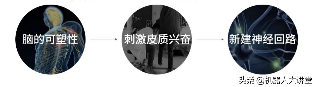 一个你不曾关注的致命杀手，终于有了一款机器人可以和它对抗了