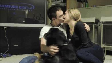 狗狗吃醋推开小主人,狗狗见主人抱猫咪吃醋