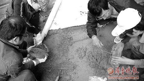 元代沉船,元代沉船多少钱一吨