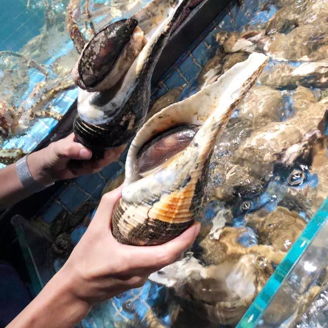 300公里外的“海鲜世家”登陆浦东！想吃要等8小时……