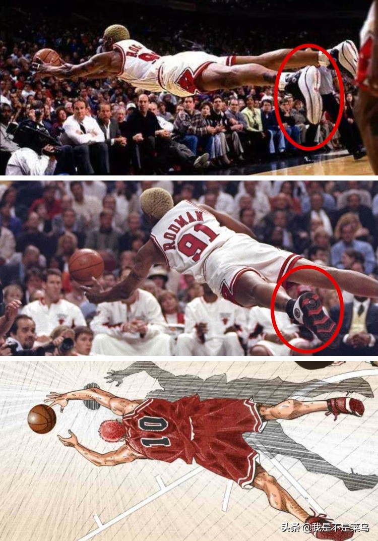 为什么樱木花道不是罗德曼,樱木花道不认识藤真