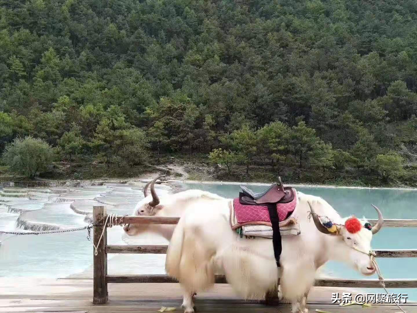 玉龙雪山冰川公园大索道,玉龙雪山到冰川公园索道