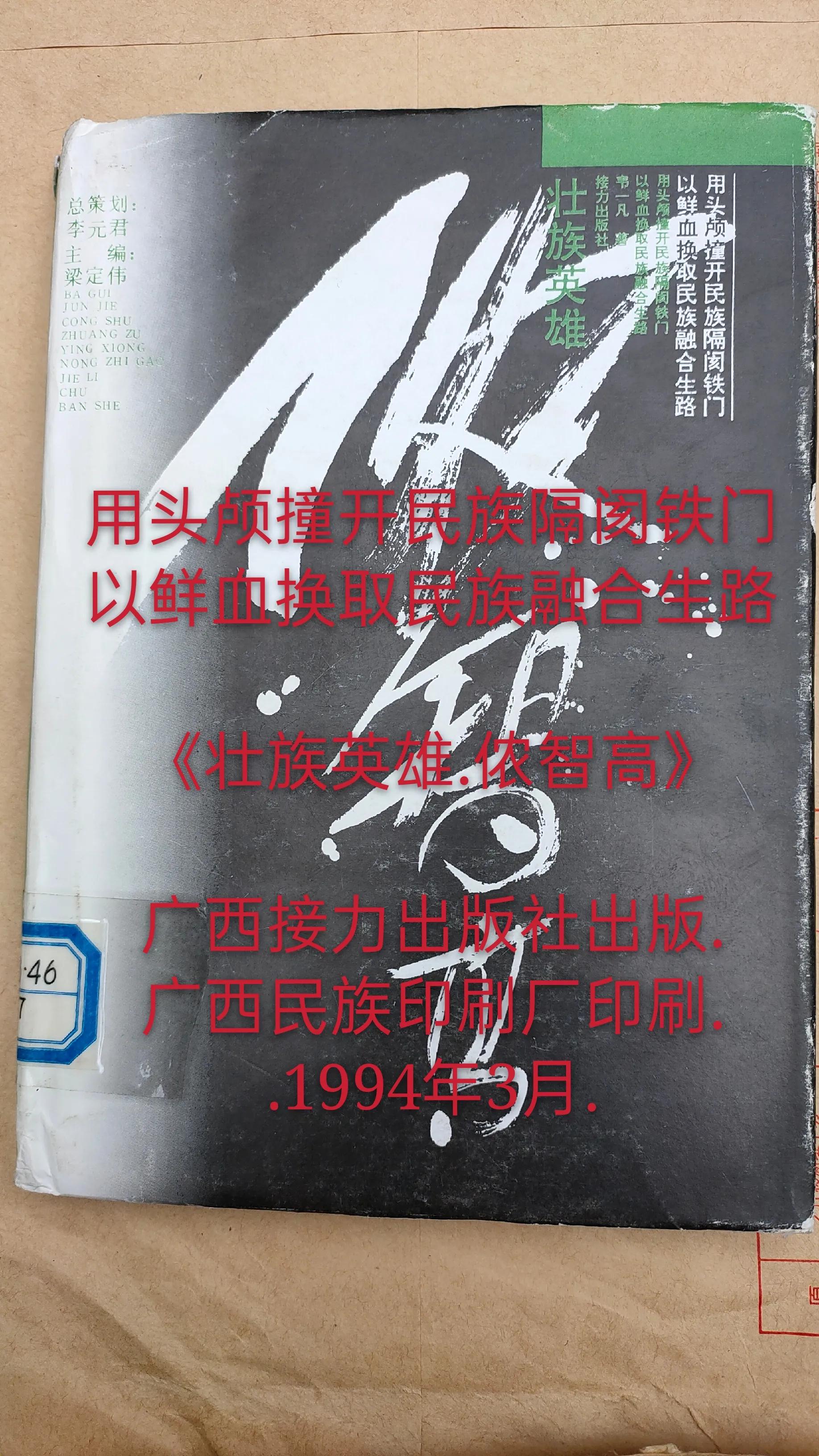 民族英雄侬智高,中国通史如何评价历史人物