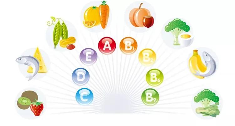 前列腺根治术多久可以做康复训练,前列腺疾病康复