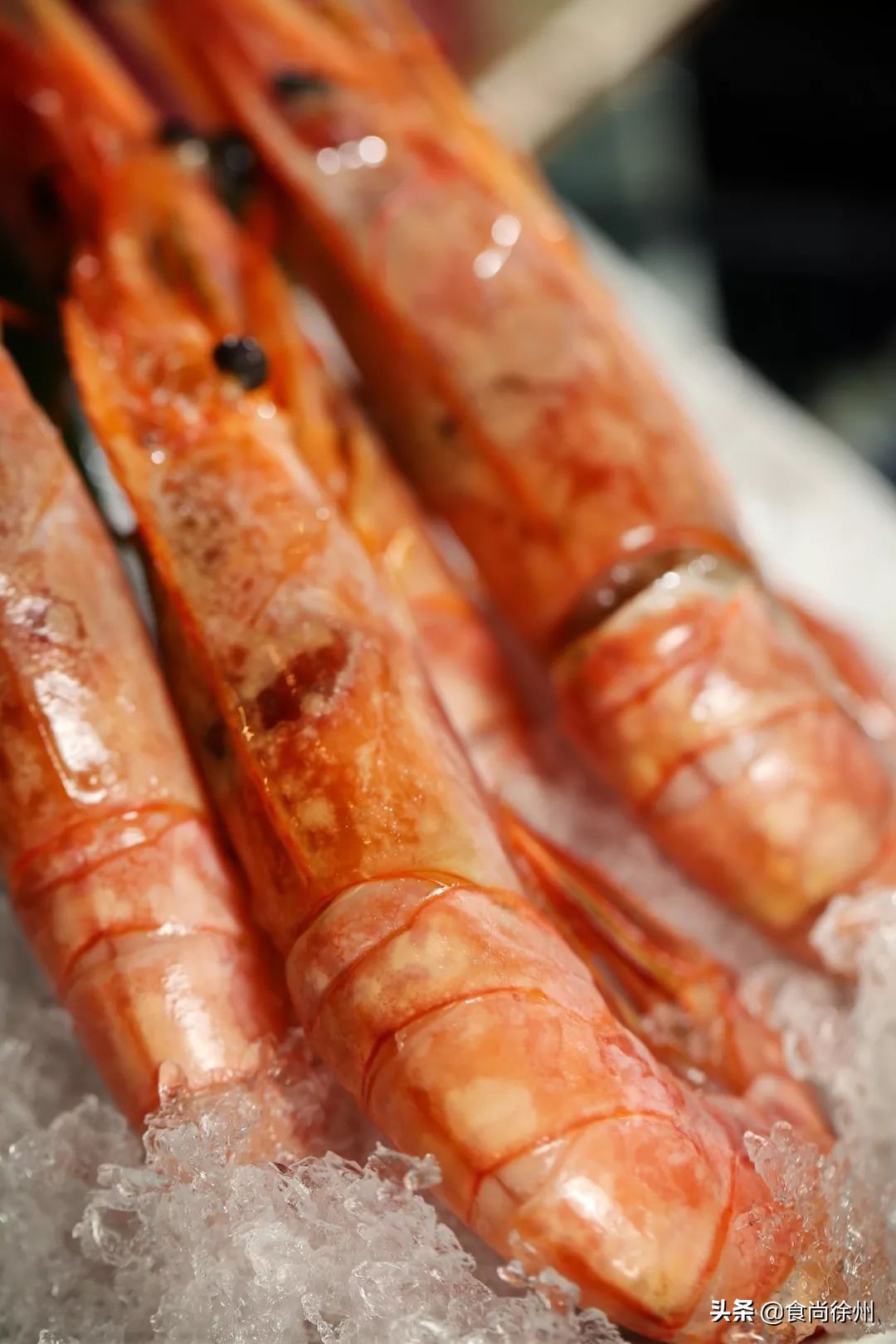 徐州发现超魔幻烧肉酒场，颜值赛高！可以大口吃肉大口喝酒！