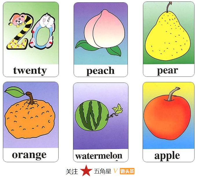 小学三年级英语单词识图卡,少儿英语看图片学单词工具篇
