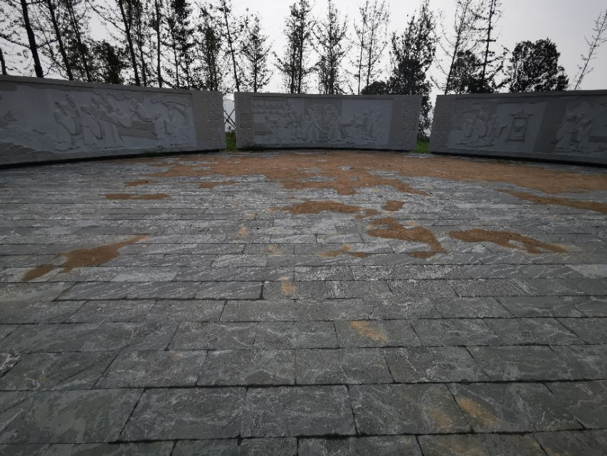 周山森林体育公园,周山公园都有什么运动