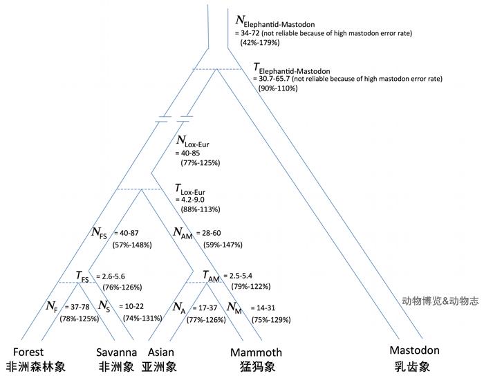 猛犸象和剑齿虎有人类吗,世界上真的有猛犸象和剑齿虎吗