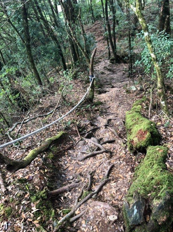 salomon登山鞋不防水,salomon户外鞋如何选择