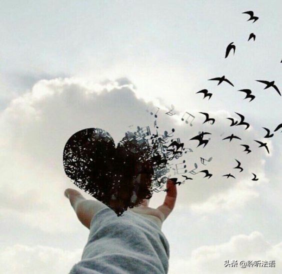 生活不易但也要活得精彩,生活不易却总能收获温暖