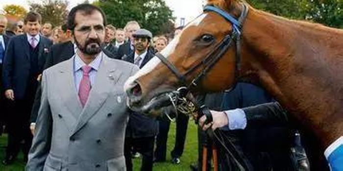 沙海行舟,现实中的霸道总裁,迪拜首富超乎常人想象的生活