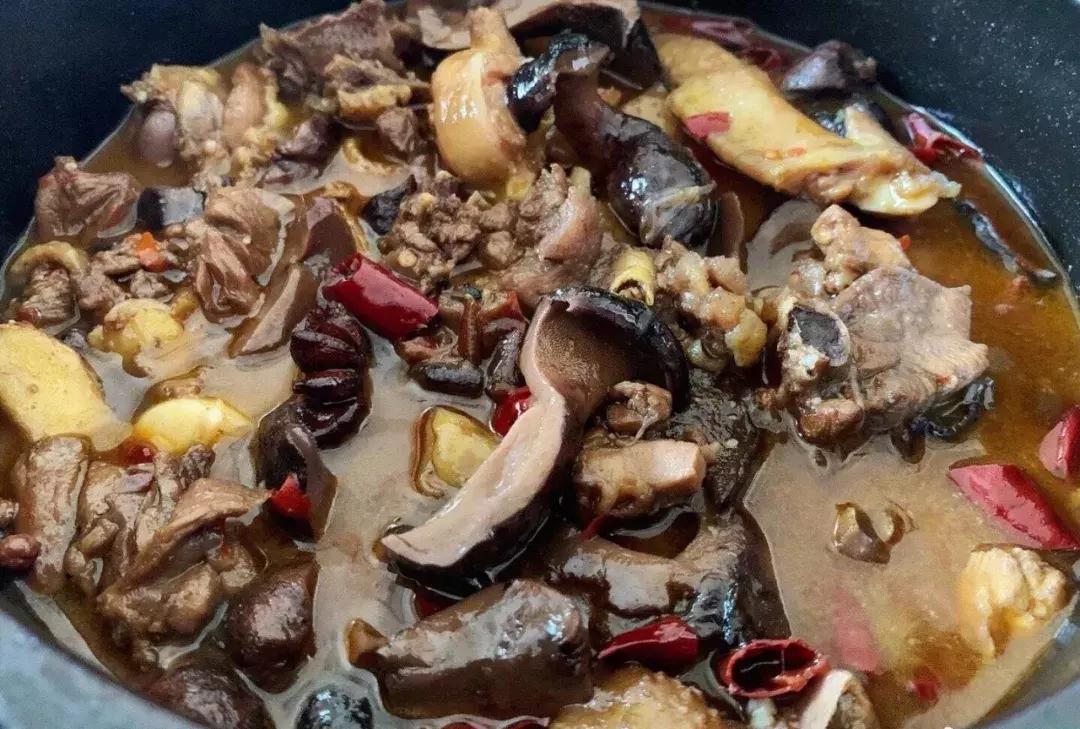 无毒野生菌图鉴大全,见手青野生菌可以吃的种类