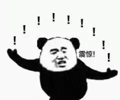 一次性宠物浴巾测评,宠物浴巾测评