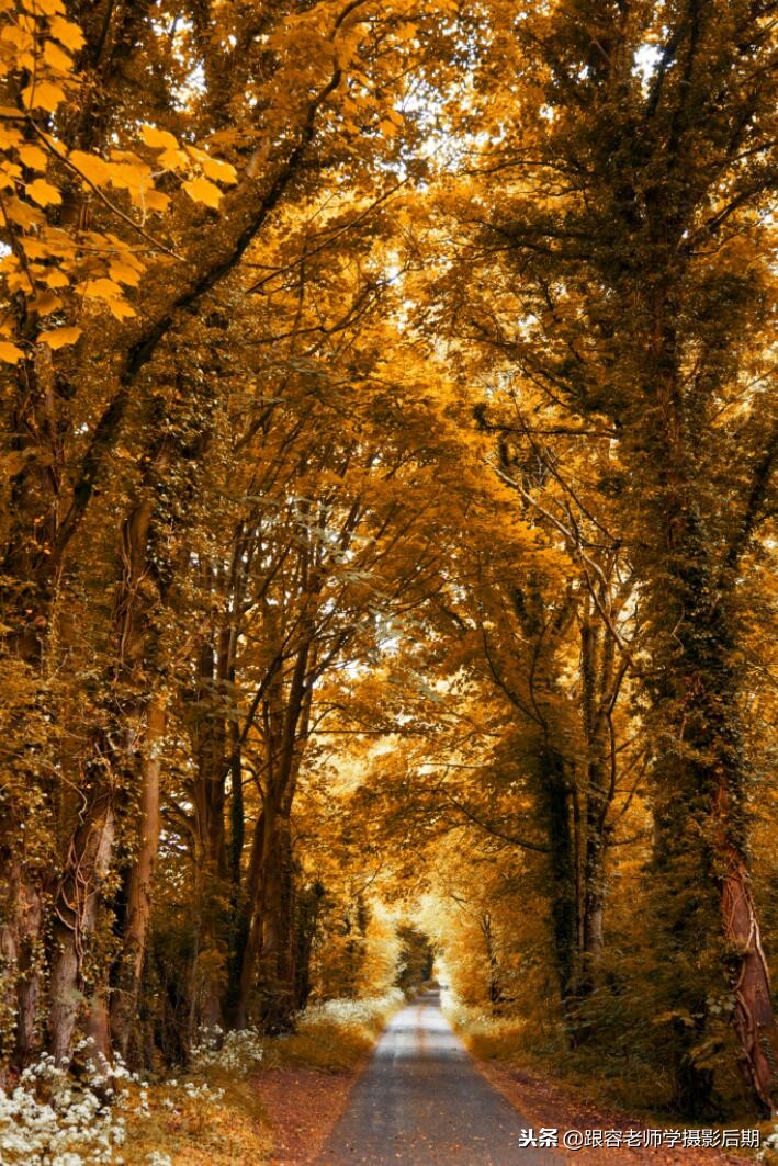 深秋的照片怎么调色,神奇的颜色视觉效果