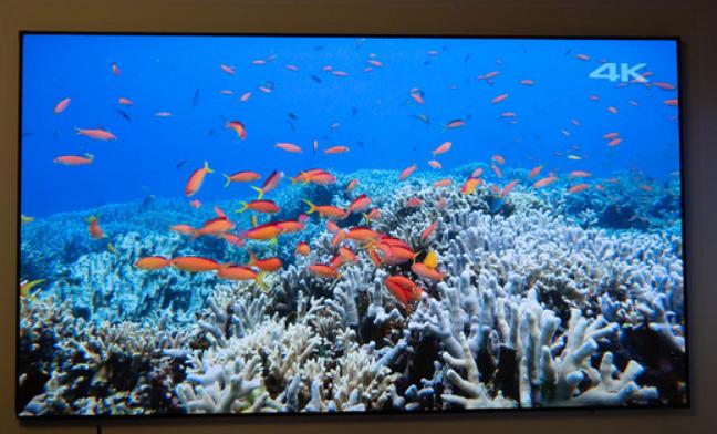 高光“亮”眼！4K画质拉满，超Max体验，科技博主：回不去了