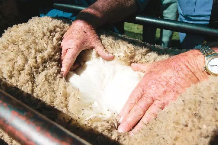 温暖雪地靴冬季怎么搭才美,舒适时尚秋冬雪地靴