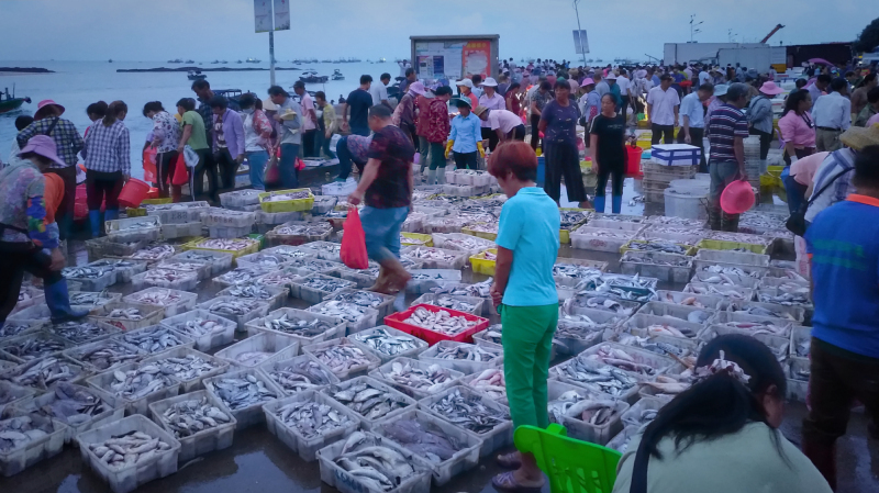 湛江遂溪角头沙旅游攻略,湛江江洪镇旅游攻略
