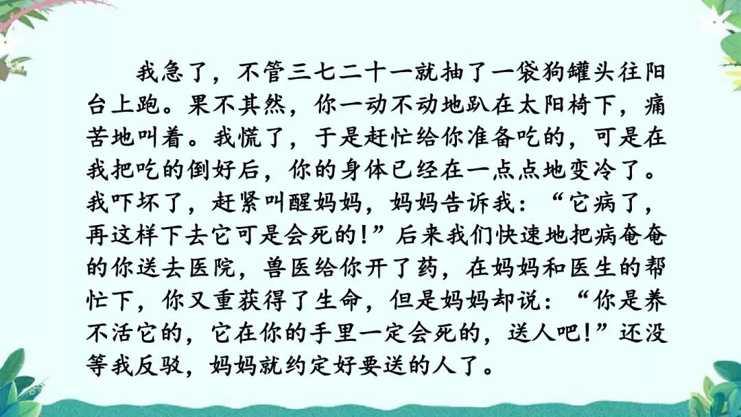 部编版六年级上第五单元习作例文,围绕中心意思写六年级作文500字