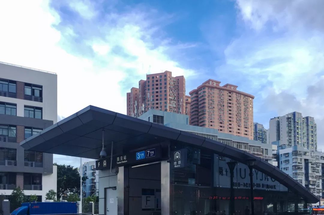 水贝十年,水贝10年